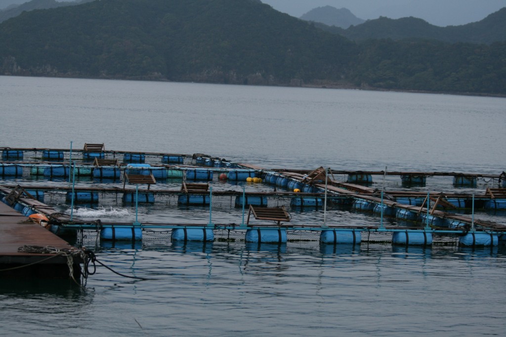 Outside Taiji Dolphin Resort Hotel sea pens