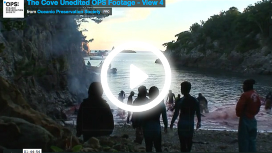 the cove unedited ops footage view 4