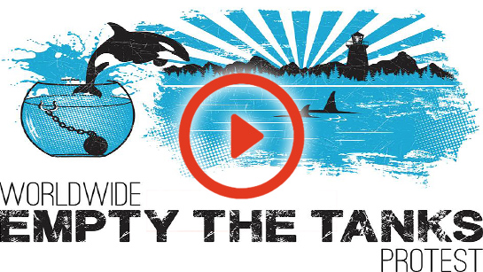 Empty the tanks 2014 full video edit